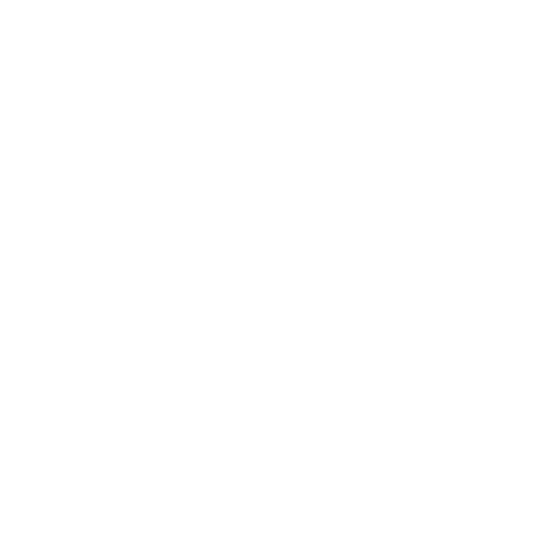 Mobile car detailing vision icon