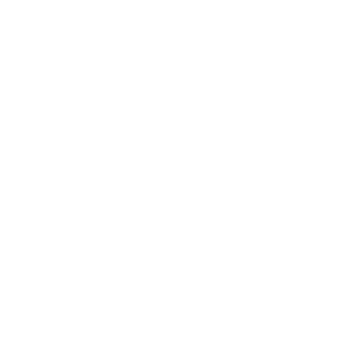 Professional auto cleaning mission icon